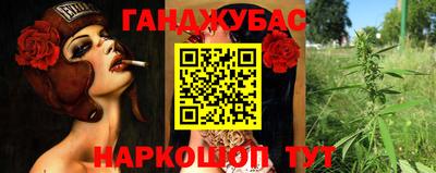 кокс Донской