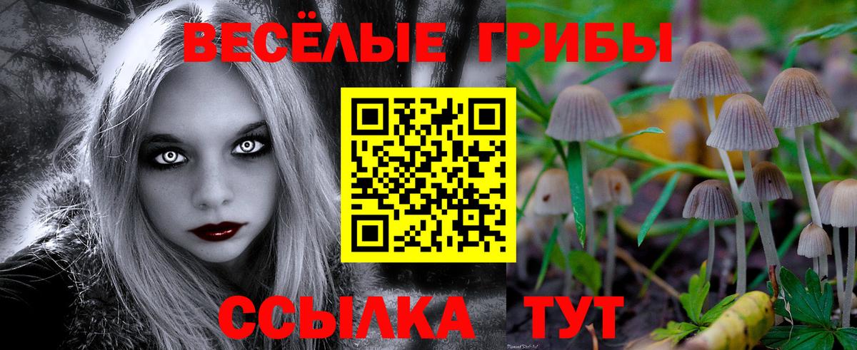 Псилоцибиновые грибы Cubensis Малгобек