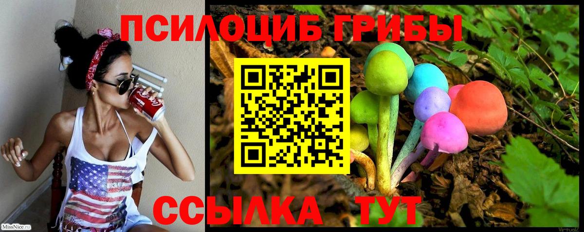 Псилоцибиновые грибы Psilocybe  Галлюциногенные грибы Cubensis  Малгобек  Вход с VPN 