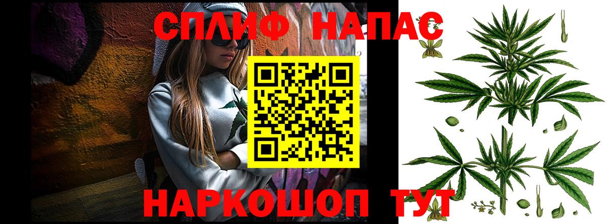 Канабис Ganja  Вход с VPN  Бошки марихуана планчик  Малгобек 